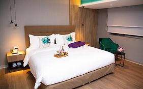 Palmetto Hotel Business San Borja